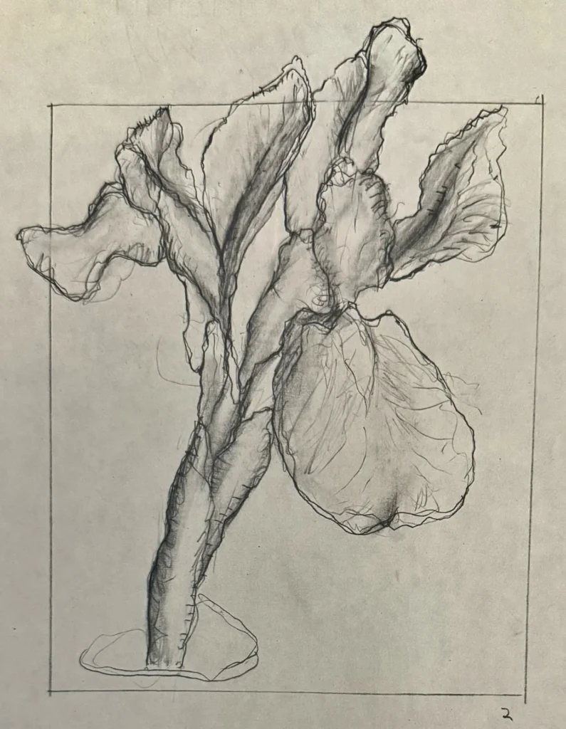 Pencil Floral