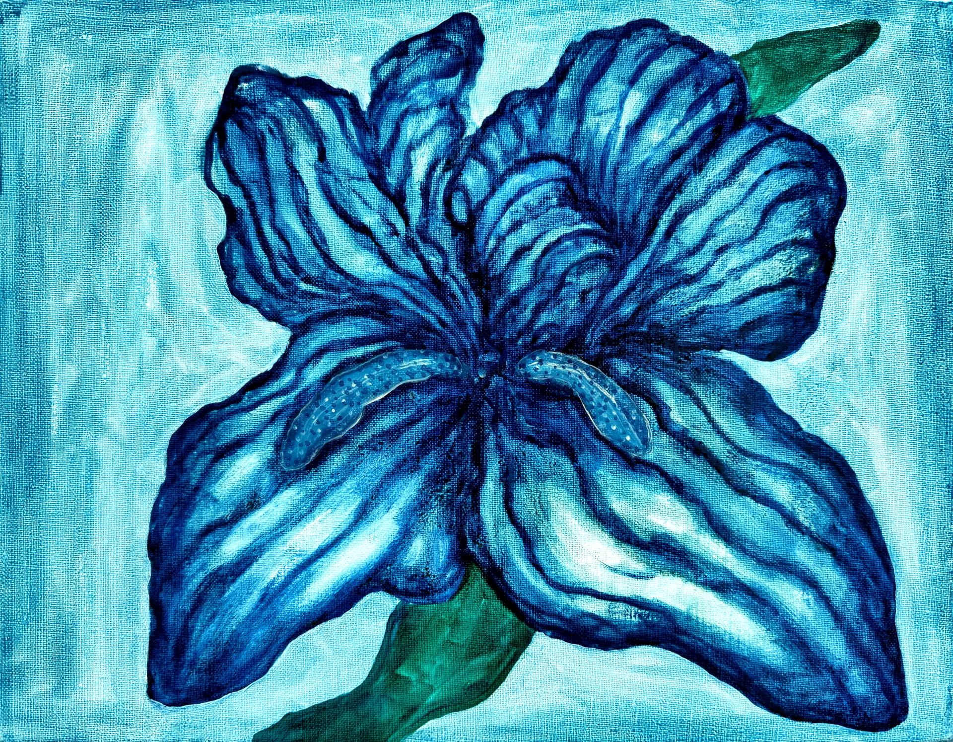 Blue Iris Floral 33